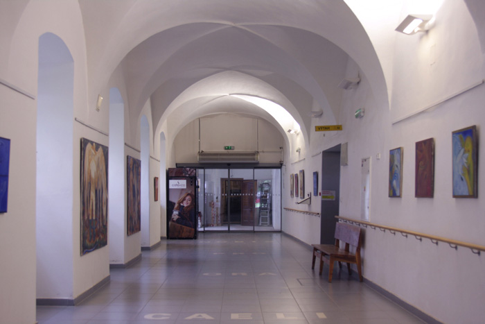 exhibition of a bachelor's thesis on the topic of oppression, exhibition in a military hospital, exhibition of horses in a military hospital in Brno