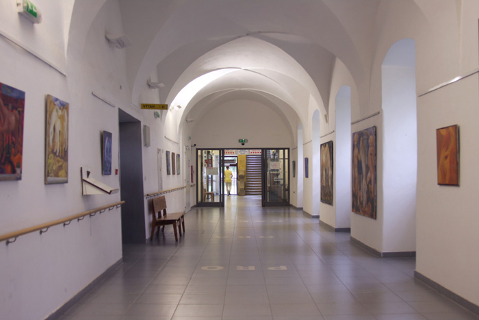 exhibition of a bachelor's thesis on the topic of oppression, exhibition in a military hospital, exhibition of horses in a military hospital in Brno