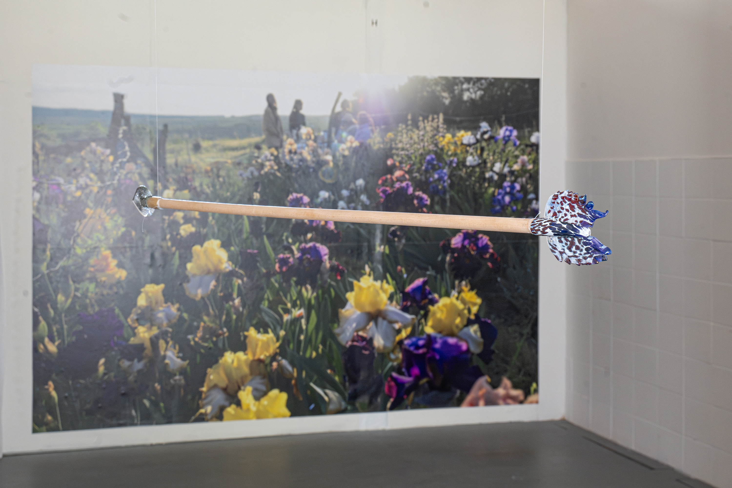 Documentation of a group exhibition of flower talk Květomluva in Entrance Gallery, Lištica