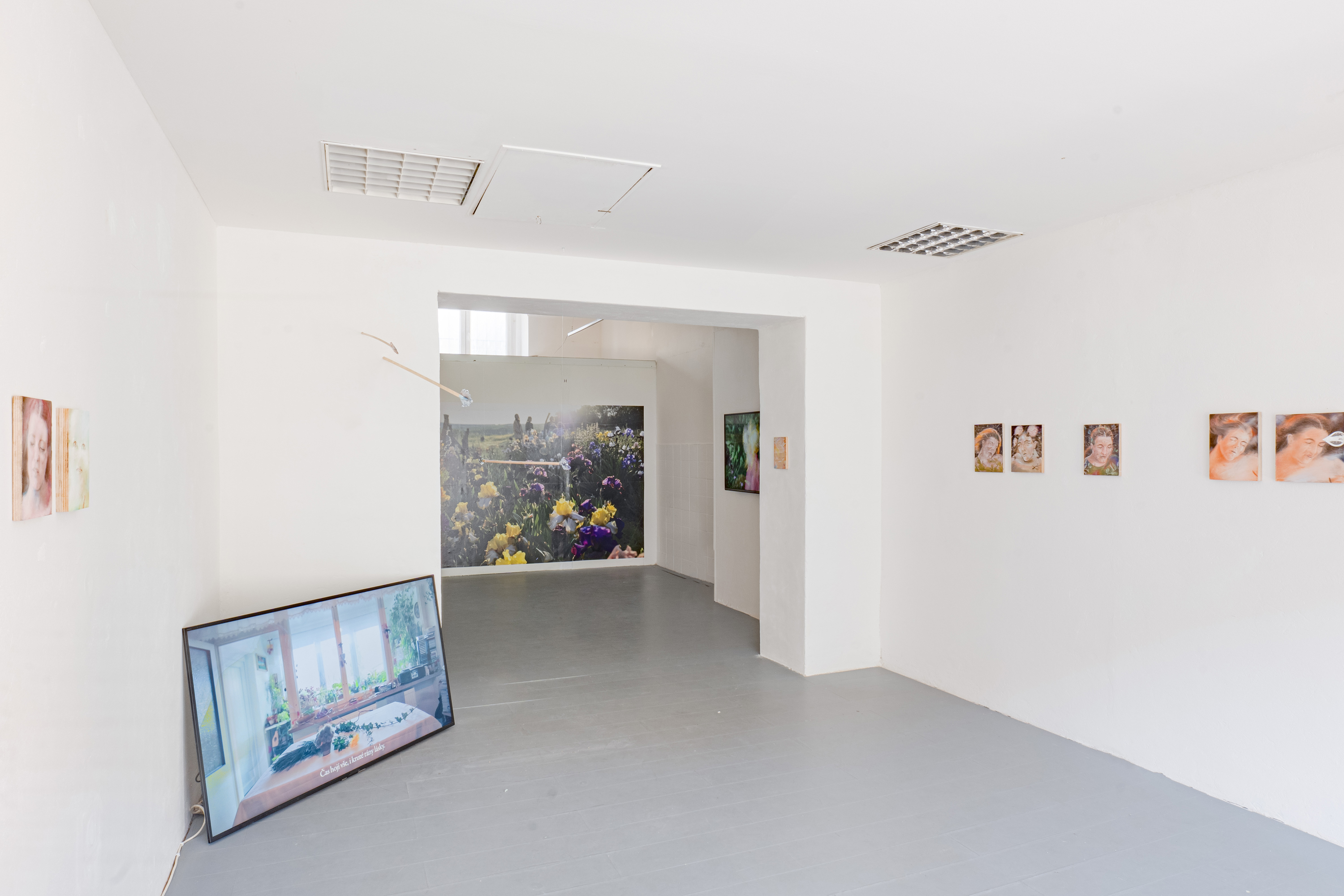 Documentation of a group exhibition of flower talk Květomluva in Entrance Gallery, Lištica