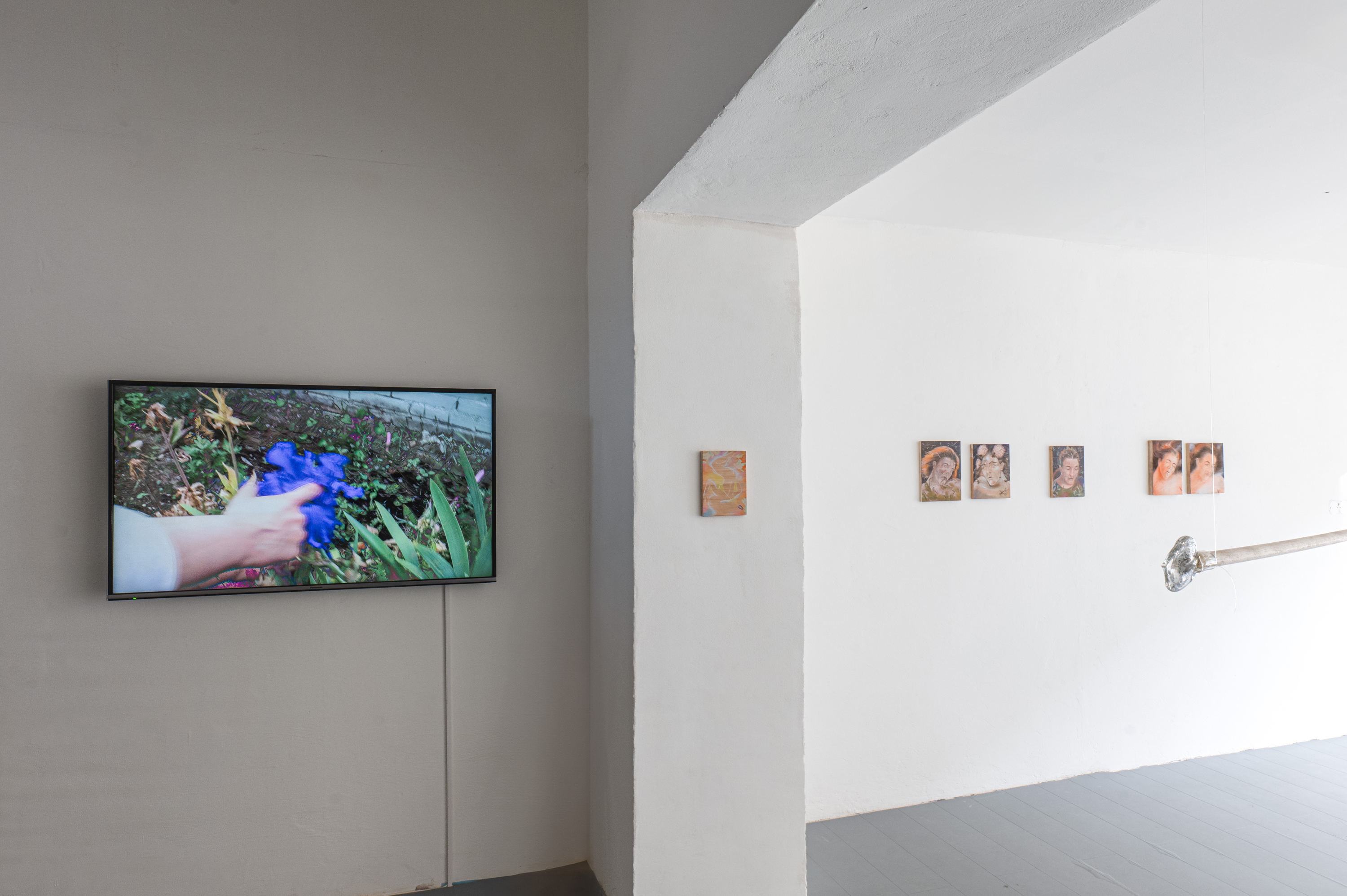 Documentation of a group exhibition of flower talk Květomluva in Entrance Gallery, Lištica