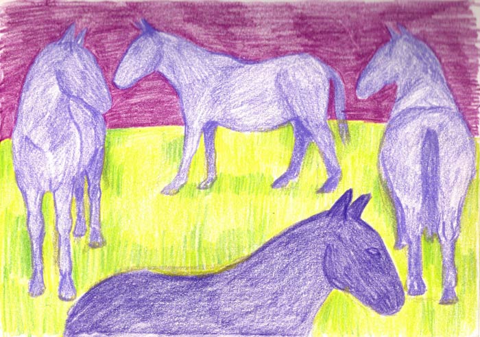 drawing of a horse, symbolism art, prismacolour, colourful horse, Lištica