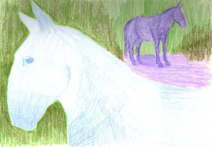 drawing of a horse, symbolism art, prismacolour, colourful horse, Lištica