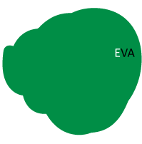 eva logo