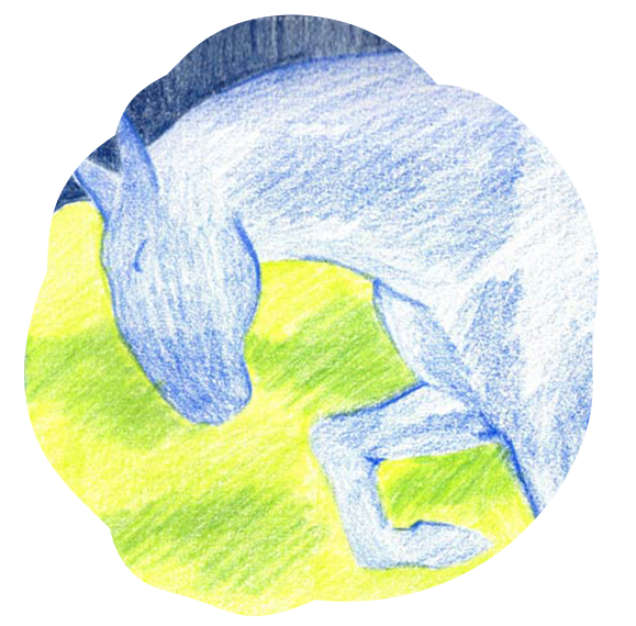 kresba kone logo